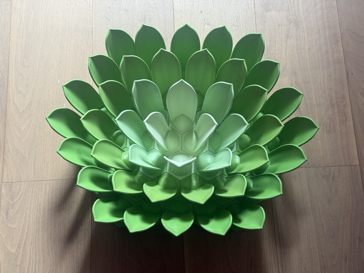 Succulent 3D Wall Art detail
